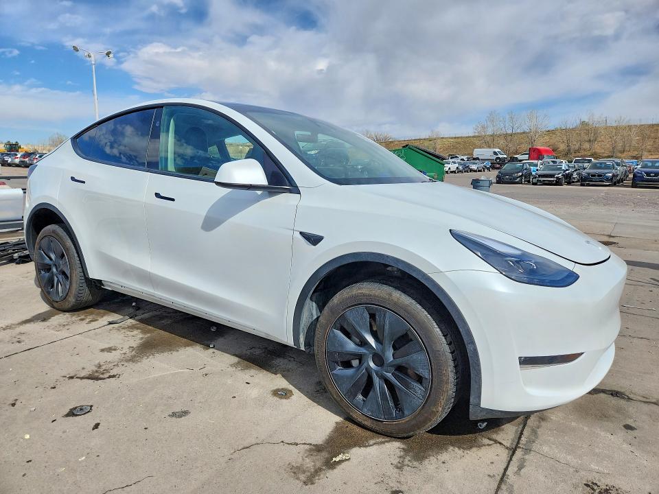 Продаж на аукціоні авто 2024 Tesla Model Y, vin: 7SAYGDEE6RA291855, номер лоту: 48062266