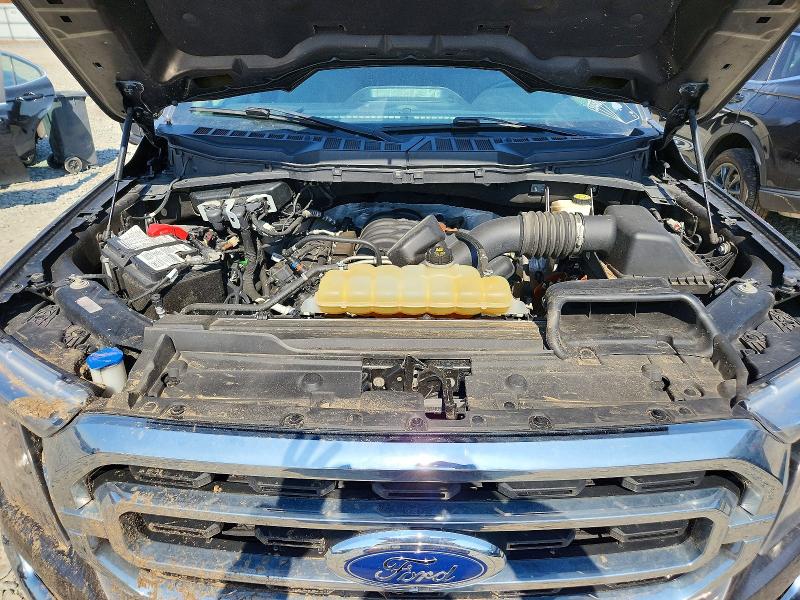 Продаж на аукціоні авто 2021 Ford F150, vin: 1FTFX1E51MFC83916, номер лоту: 49378256