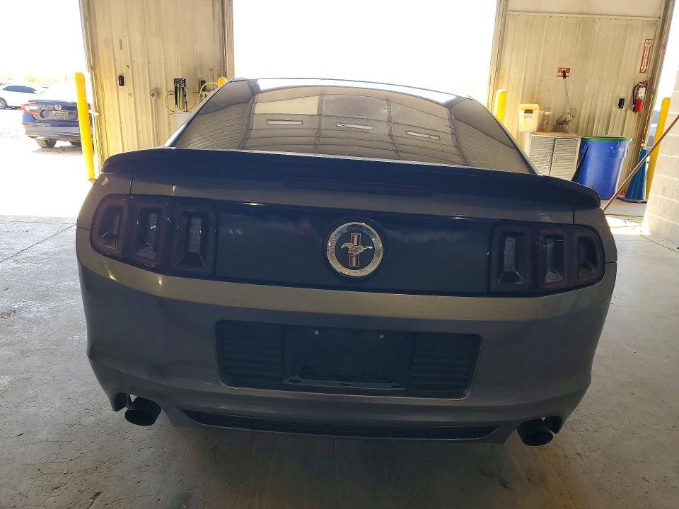 Продаж на аукціоні авто 2014 Ford Mustang, vin: 1ZVBP8AM9E5204081, номер лоту: 49575096