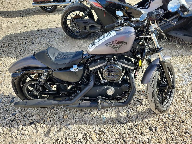 50893636 :رقم المزاد ، 1HD4LE213GC405823 vin ، 2016 Harley-davidson Xl883 مزاد بيع