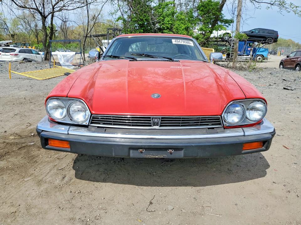Продаж на аукціоні авто 1983 Jaguar Xjs, vin: SAJNV5847DC111288, номер лоту: 49479586