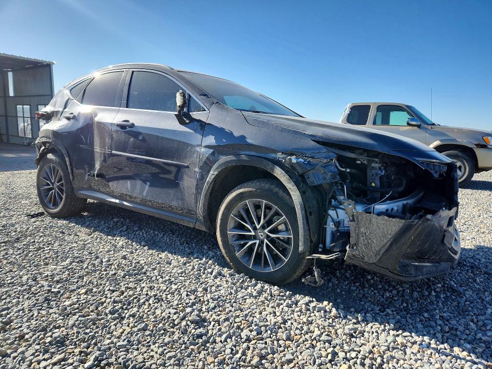 50681466 :رقم المزاد ، 2T2GKCEZ1NC004911 vin ، 2022 Lexus Nx مزاد بيع