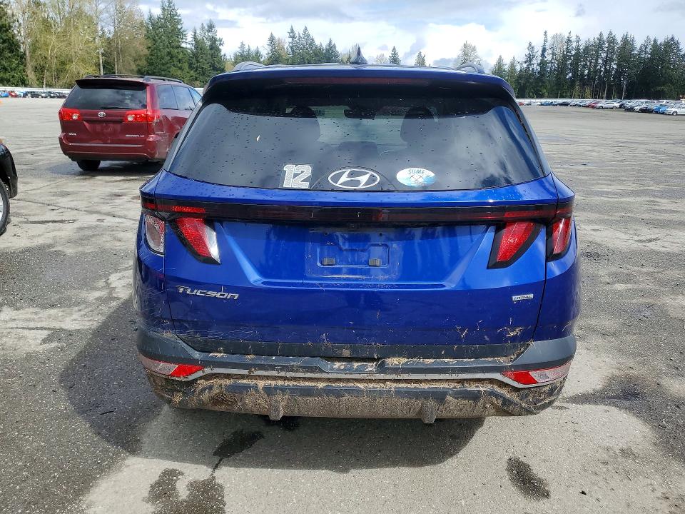 Продажа на аукционе авто 2024 Hyundai Tucson, vin: 5NMJBCDE4RH359225, номер лота: 49515886