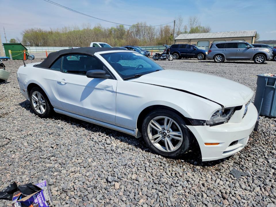 2014 Ford Mustang მანქანა იყიდება აუქციონზე, vin: 1ZVBP8EM3E5313923, აუქციონის ნომერი: 49248486