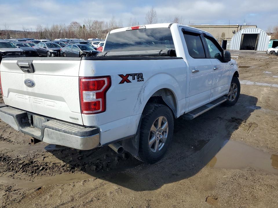 49437936 :رقم المزاد ، 1FTEW1EP0KKD01309 vin ، 2019 Ford F150 مزاد بيع