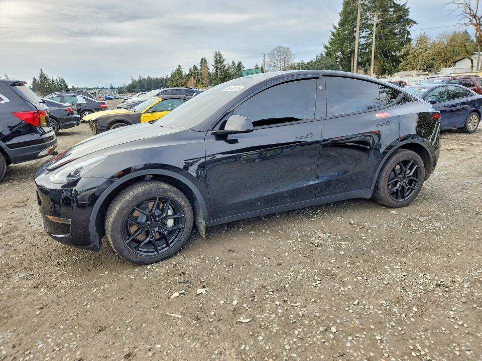 Auction sale of the 2024 Tesla Model Y, vin: 7SAYGDEE7RF201728, lot number: 51891506