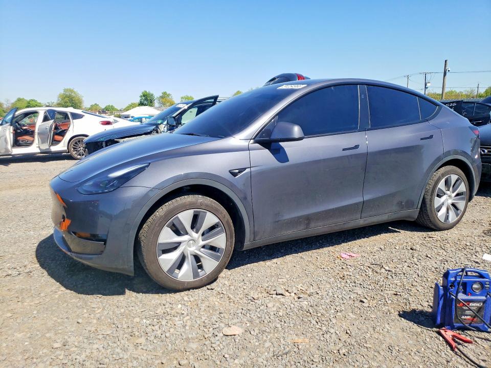 Продаж на аукціоні авто 2023 Tesla Model Y, vin: 7SAYGDED6PF923258, номер лоту: 51254966