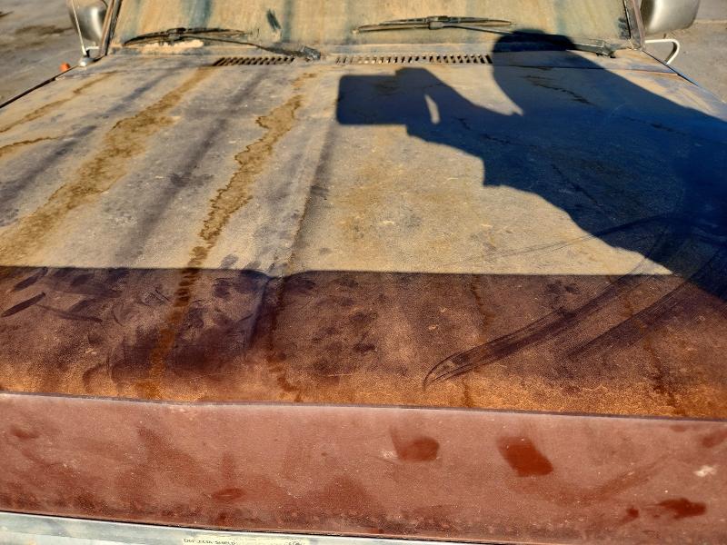 Auction sale of the 1985 Ford Bronco Ii, vin: 1FMCU14S1FUB72943, lot number: 48160146