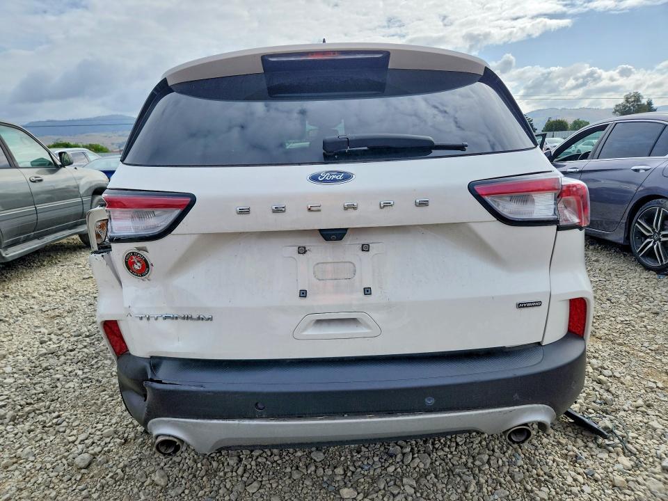 Продаж на аукціоні авто 2020 Ford Escape, vin: 1FMCU0DZ4LUB86838, номер лоту: 51142696