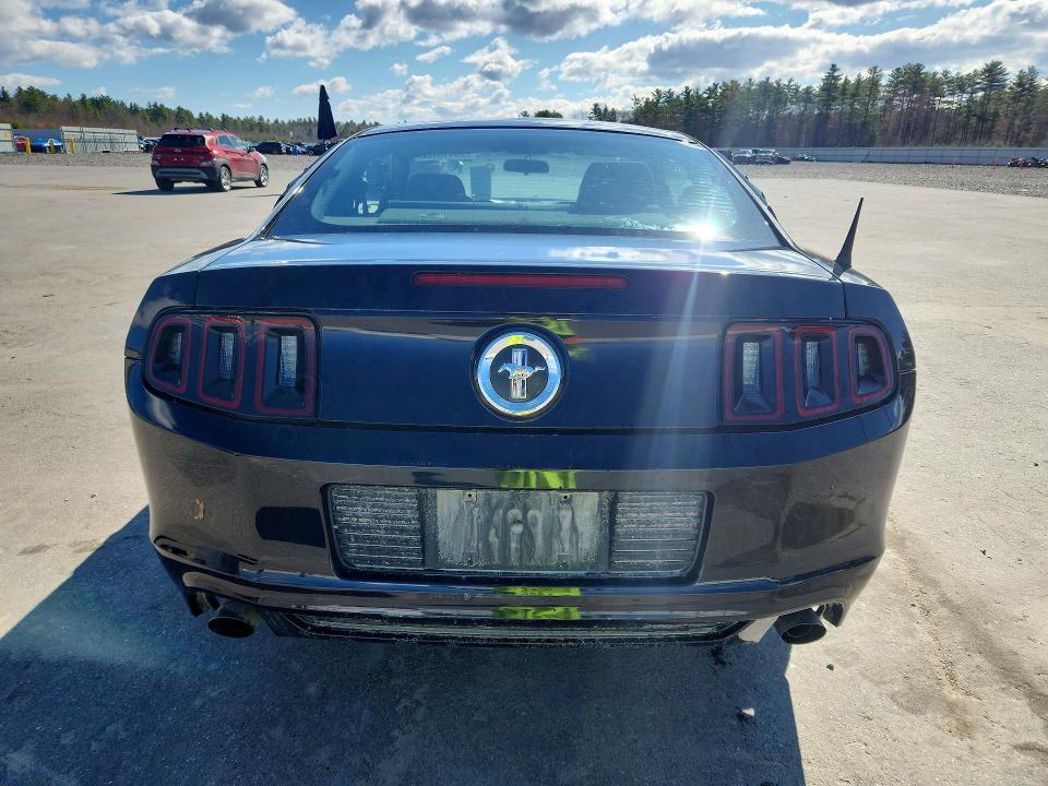 50415486 :رقم المزاد ، 1ZVBP8AM0E5294026 vin ، 2014 Ford Mustang مزاد بيع
