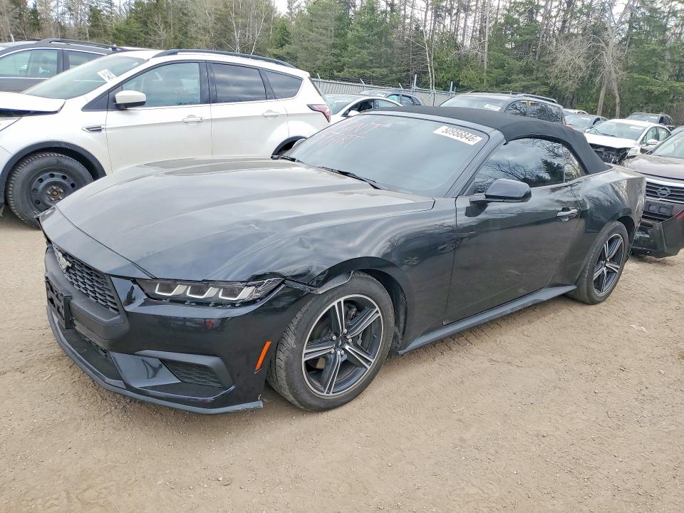 Продаж на аукціоні авто 2024 Ford Mustang, vin: 1FAGP8UH4R5127073, номер лоту: 50956846