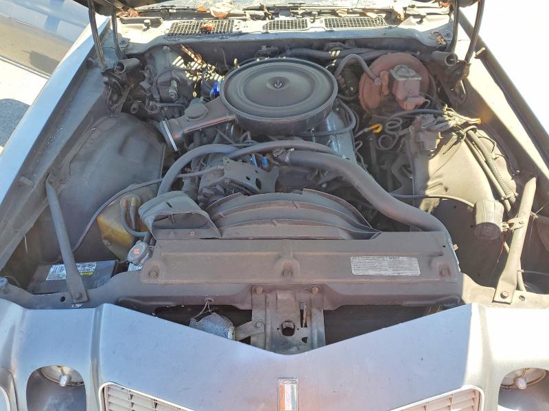 Продаж на аукціоні авто 1977 Chev Camaro, vin: 1S87U7L600528, номер лоту: 49006876