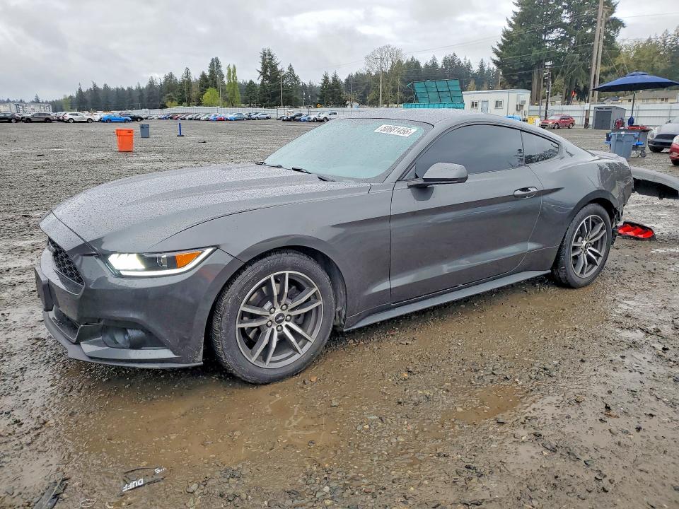 Продаж на аукціоні авто 2017 Ford Mustang, vin: 1FA6P8TH0H5318968, номер лоту: 50681456