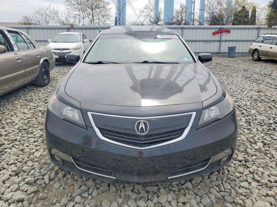 49126566 :رقم المزاد ، 19UUA8F54CA009509 vin ، 2012 Acura Tl مزاد بيع