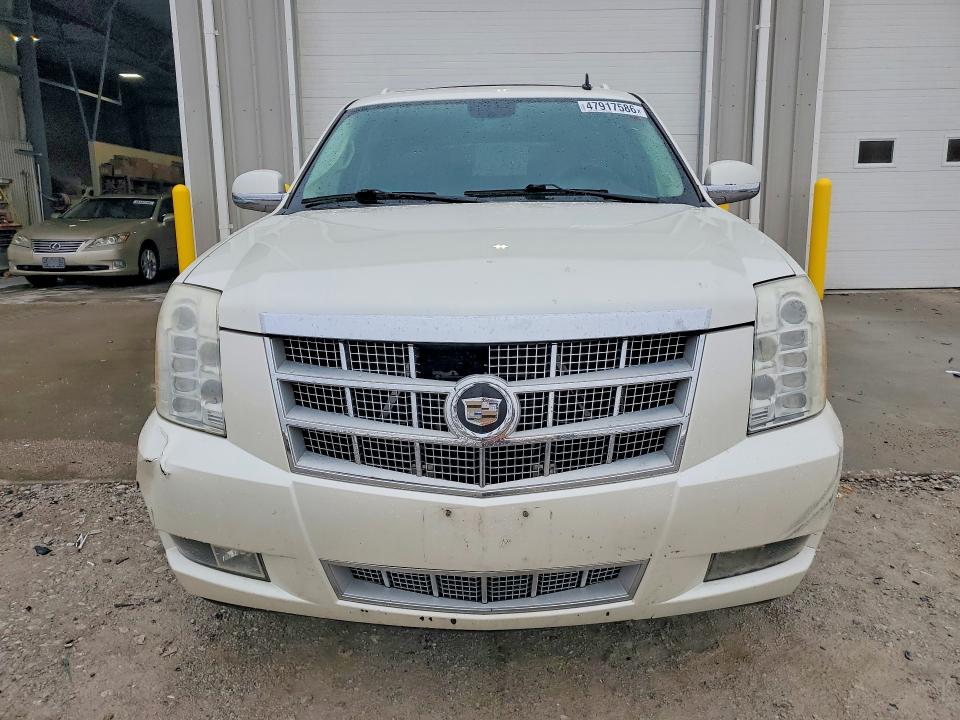 Auction sale of the 2010 Cadillac Escalade, vin: 1GYUKKEF7AR289485, lot number: 47917586
