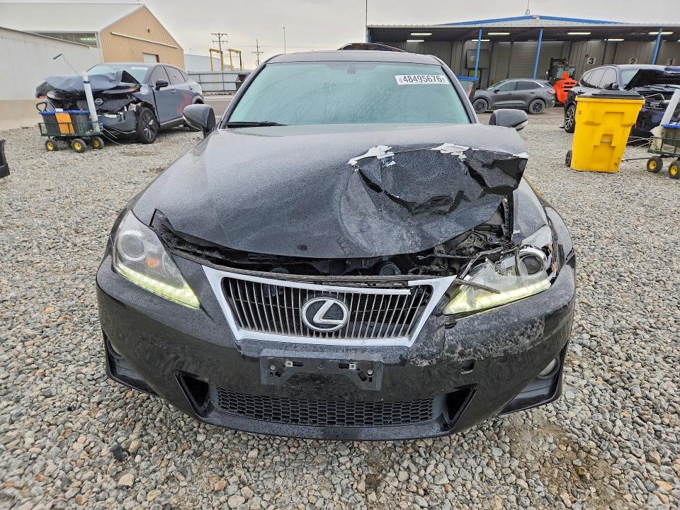 48495676 :رقم المزاد ، JTHCF5C21D5061984 vin ، 2013 Lexus Is 250 مزاد بيع