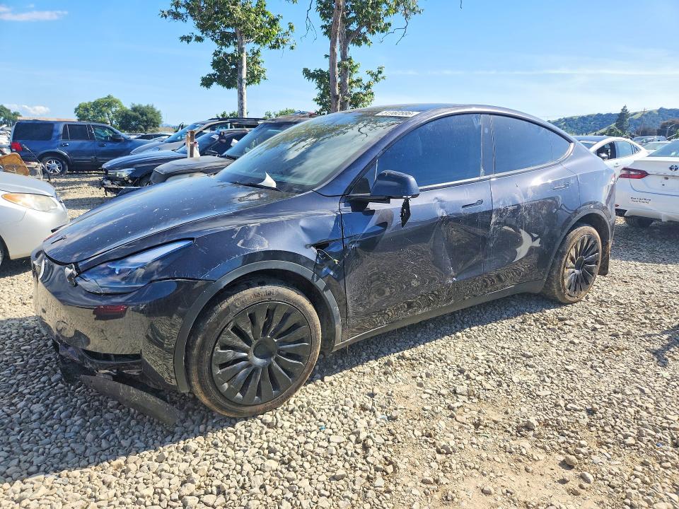 Aukcja sprzedaży 2024 Tesla Model Y, vin: 7SAYGDEE4RF185889, numer aukcji: 51182586