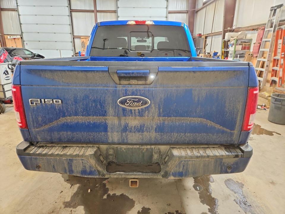 Продаж на аукціоні авто 2017 Ford F150, vin: 1FTEW1EG8HKD65106, номер лоту: 49785346