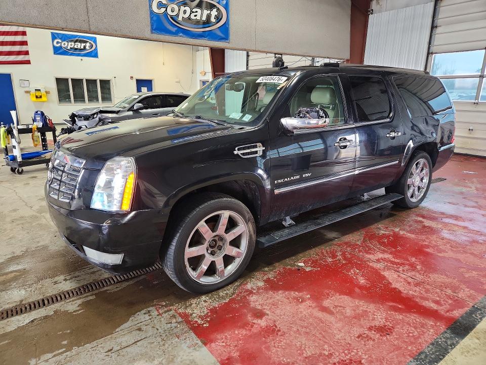 Продаж на аукціоні авто 2010 Cadillac Escalade, vin: 1GYUKJEF0AR262350, номер лоту: 50408476