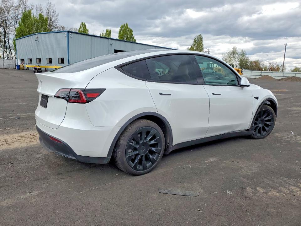 Продажа на аукционе авто 2025 Tesla Model Y, vin: 7SAYGDED0SF281595, номер лота: 50438926