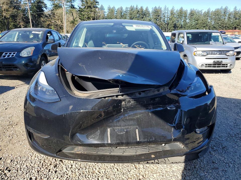Продаж на аукціоні авто 2025 Tesla Model Y, vin: 7SAYGAEEXSF241127, номер лоту: 48635776