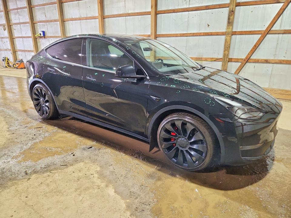 Продаж на аукціоні авто 2023 Tesla Model Y, vin: 7SAYGDEF4PF788069, номер лоту: 51375286