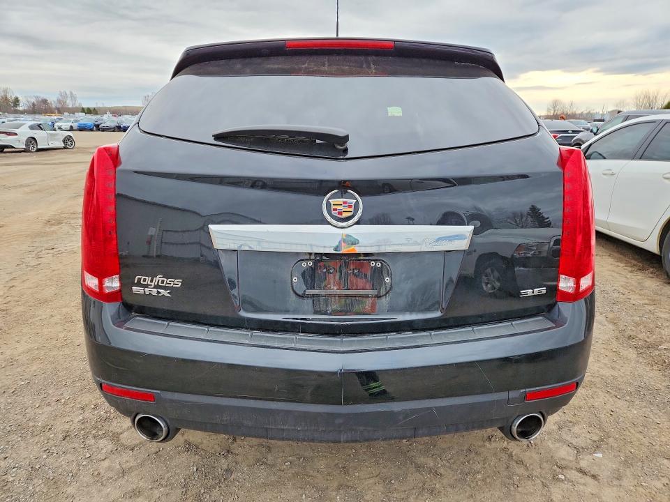 51427486 :رقم المزاد ، 3GYFNAE36GS530541 vin ، 2016 Cadillac Srx مزاد بيع