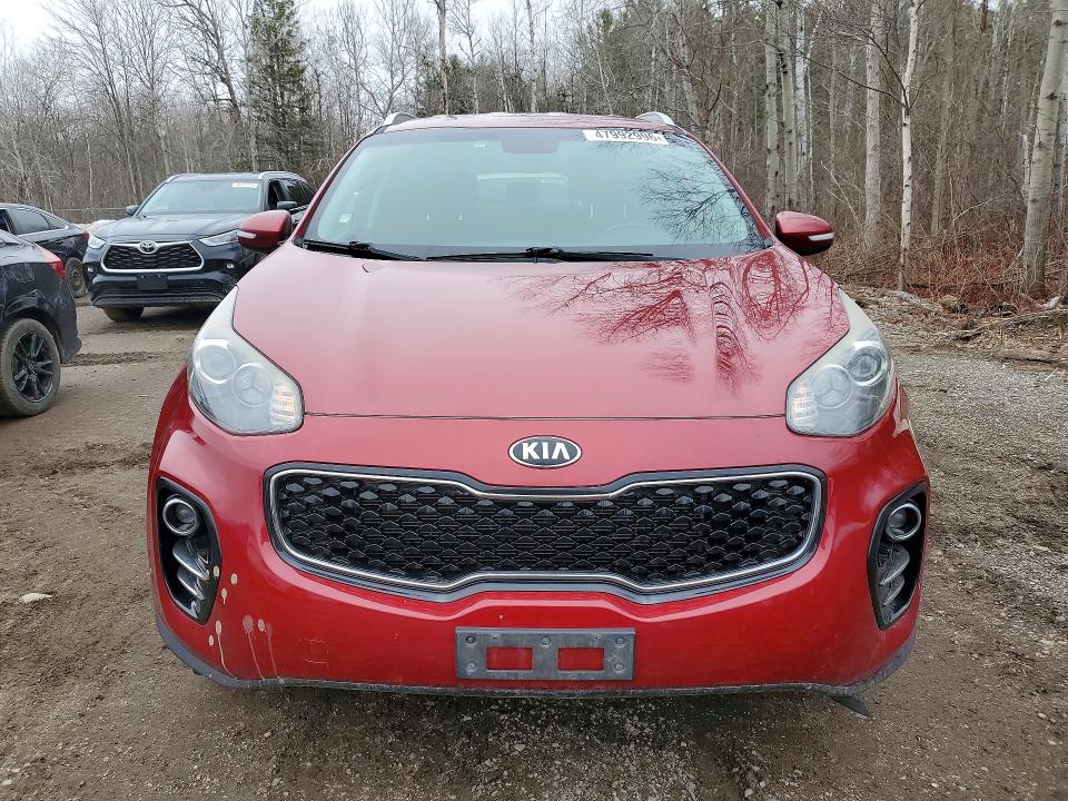 Продаж на аукціоні авто 2017 Kia Sportage, vin: KNDPNCAC1H7128051, номер лоту: 47992996