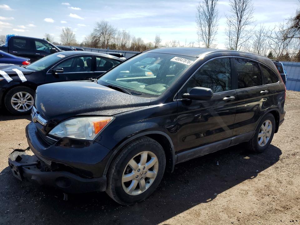 Auction sale of the 2009 Honda Cr-v, vin: 5J6RE48519L803860, lot number: 48847876