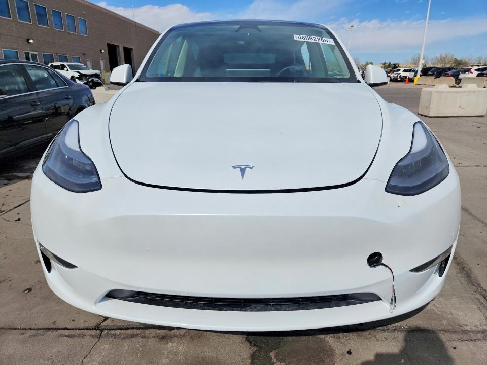Продаж на аукціоні авто 2024 Tesla Model Y, vin: 7SAYGDEE6RA291855, номер лоту: 48062266