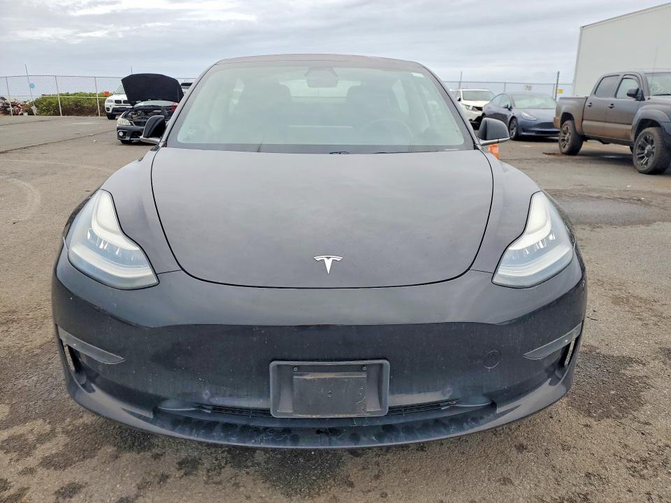 49288246 :رقم المزاد ، 5YJ3E1EA1KF190823 vin ، 2019 Tesla Model 3 مزاد بيع