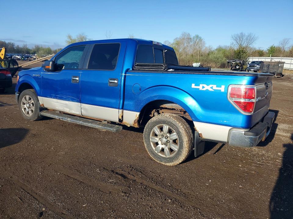 2011 Ford F150 მანქანა იყიდება აუქციონზე, vin: 1FTFW1EF6BFA37193, აუქციონის ნომერი: 50328366