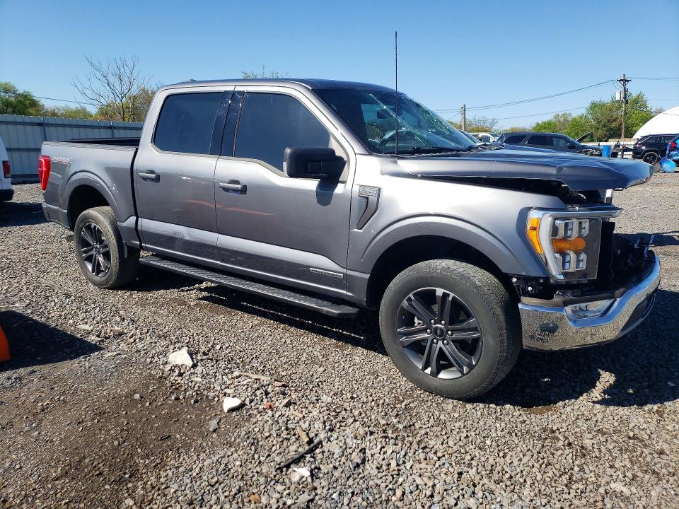 Продажа на аукционе авто 2023 Ford F150, vin: 1FTFW1ED6PFC74417, номер лота: 51493026