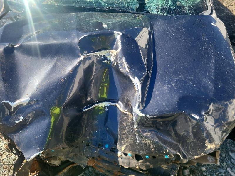 49240206 :رقم المزاد ، JF2SJCHC5EH432566 vin ، 2014 Subaru Forester مزاد بيع