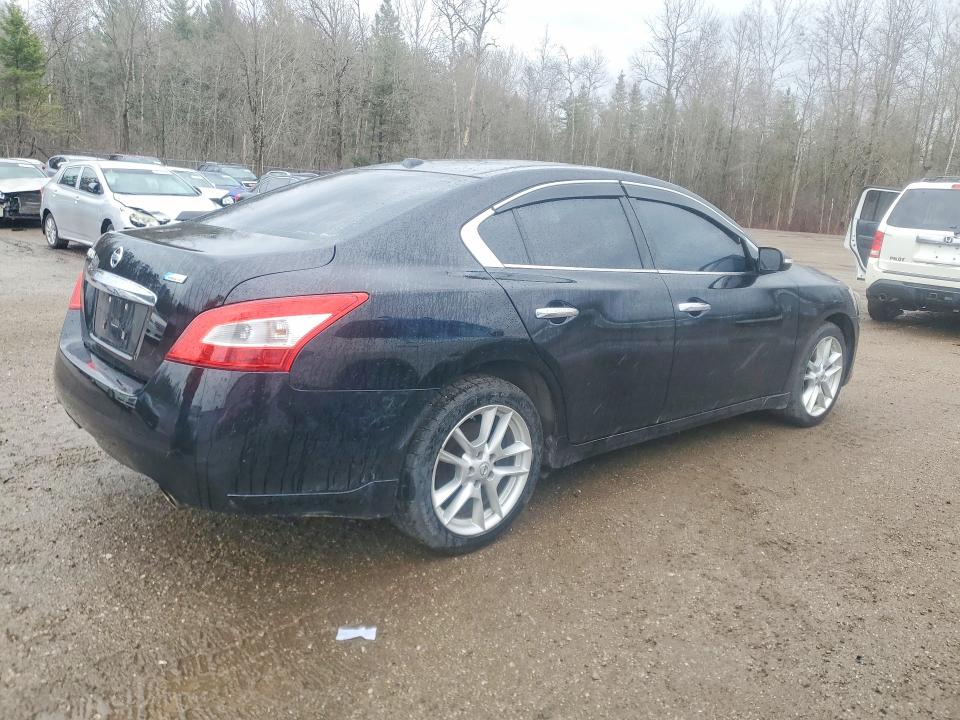 49399626 :رقم المزاد ، 1N4AA5AP6BC858915 vin ، 2011 Nissan Maxima مزاد بيع
