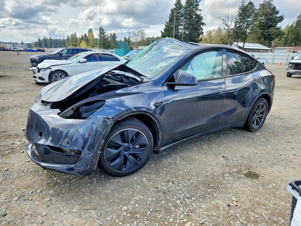 Aukcja sprzedaży 2024 Tesla Model Y, vin: 7SAYGDEE8RF191694, numer aukcji: 50436006