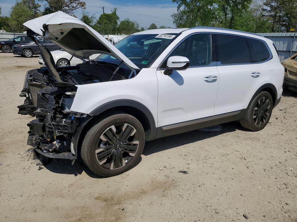2024 Kia Telluride მანქანა იყიდება აუქციონზე, vin: 5XYP5DGCXRG539076, აუქციონის ნომერი: 50216186
