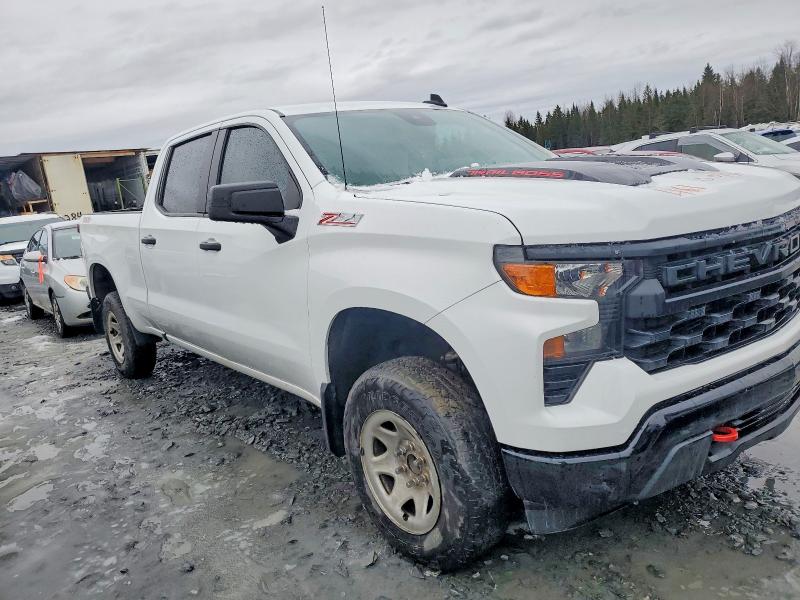 2024 Chevrolet Silverado მანქანა იყიდება აუქციონზე, vin: 3GCUDCED3RG357863, აუქციონის ნომერი: 46100796
