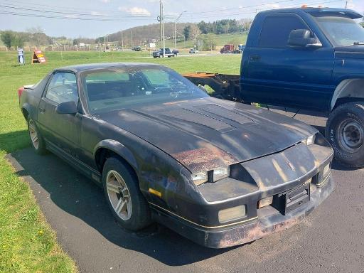 1987 Chev Camaro მანქანა იყიდება აუქციონზე, vin: 1G1FP21F9HN102666, აუქციონის ნომერი: 50521626