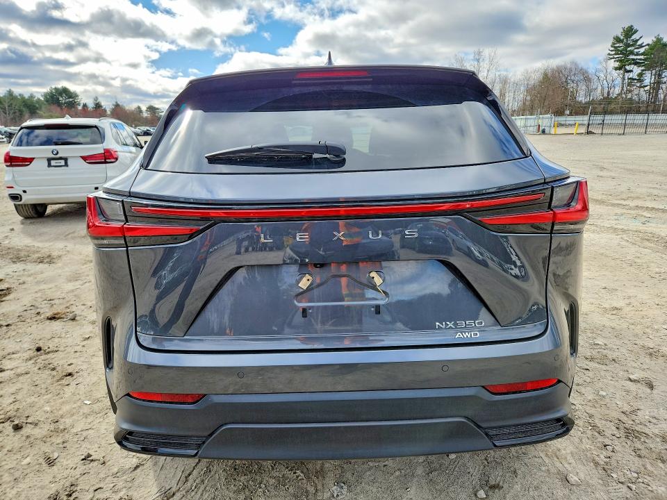 Продажа на аукционе авто 2025 Lexus Nx 350, vin: 2T2GGCEZXSC063226, номер лота: 48662086
