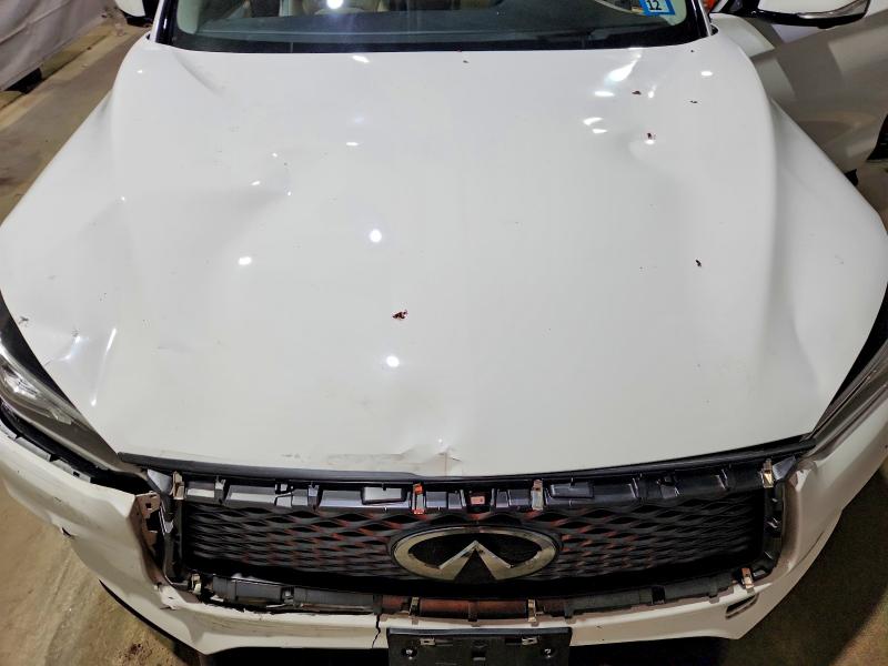 50671336 :رقم المزاد ، 3PCAJ5M35KF147289 vin ، 2019 Infiniti Qx50 مزاد بيع