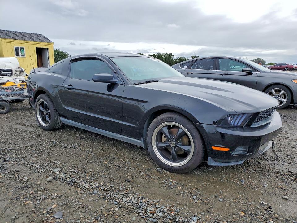 50802916 :رقم المزاد ، 1ZVBP8AN5A5100805 vin ، 2010 Ford Mustang مزاد بيع