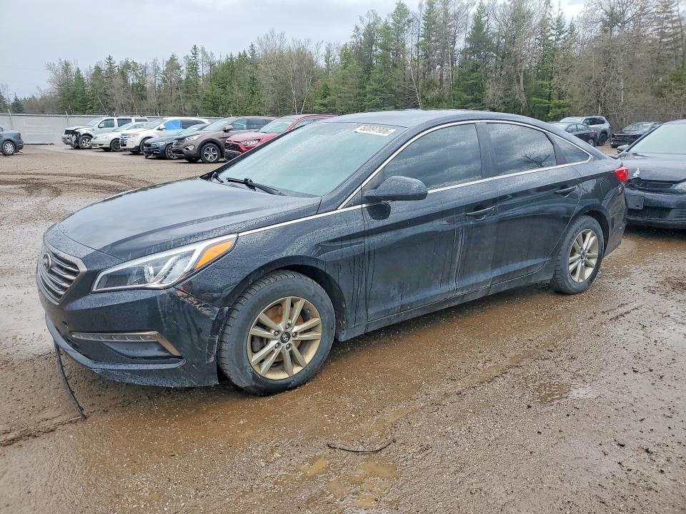 Продаж на аукціоні авто 2015 Hyundai Sonata, vin: 5NPE24AF9FH048246, номер лоту: 50097906