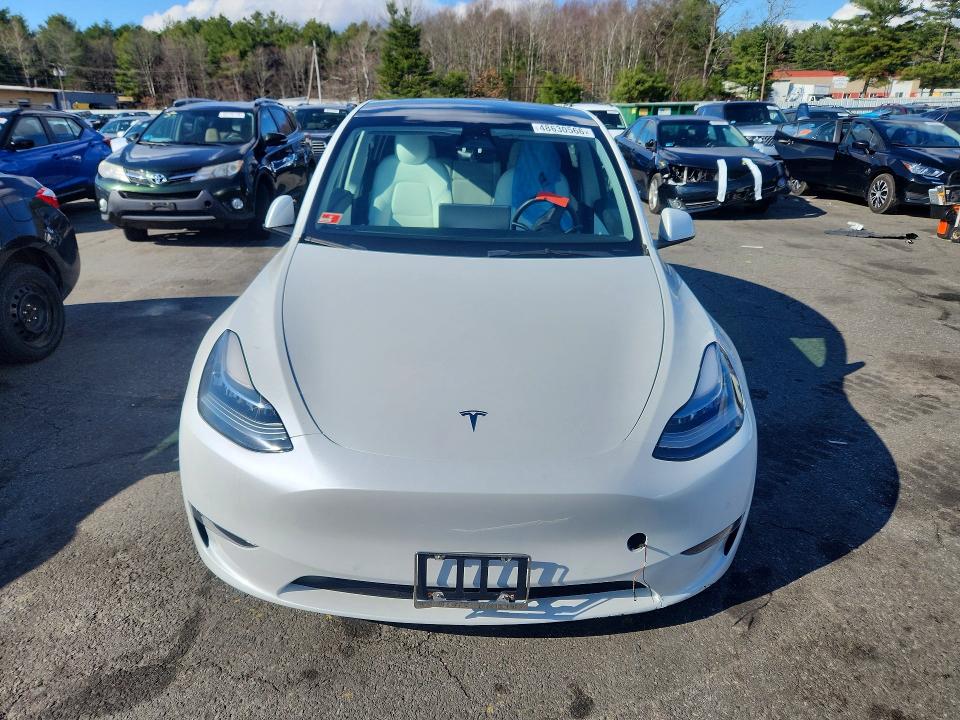 Продажа на аукционе авто 2021 Tesla Model Y, vin: 5YJYGDEE8MF195895, номер лота: 48630566