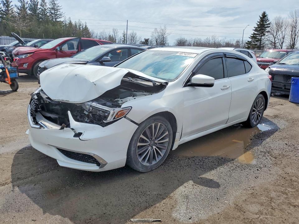 Продажа на аукционе авто 2018 Acura Tlx, vin: 19UUB3F5XJA800236, номер лота: 48742866