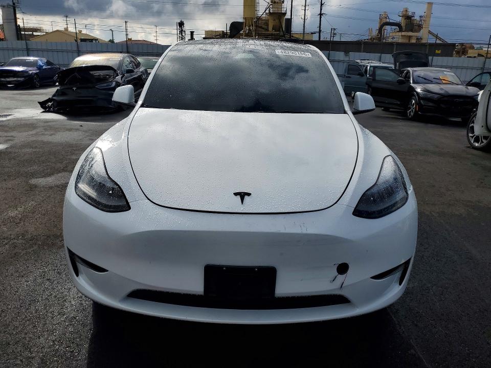 Продаж на аукціоні авто 2024 Tesla Model Y, vin: 7SAYGDEF3RF056387, номер лоту: 48290186