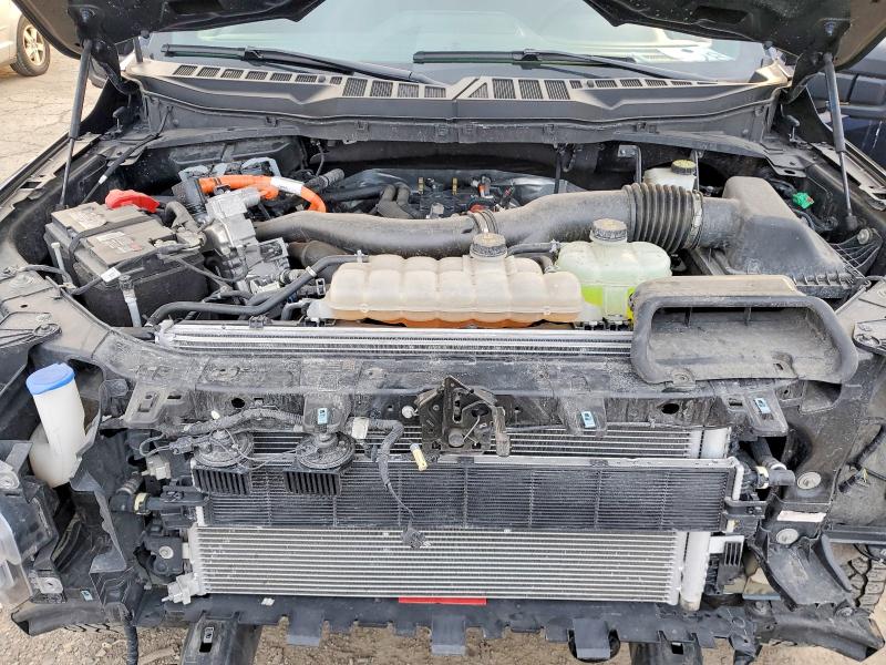 2024 Ford F150 მანქანა იყიდება აუქციონზე, vin: 1FTFW3LD9RFA71801, აუქციონის ნომერი: 50112946