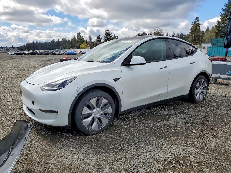 Продаж на аукціоні авто 2024 Tesla Model Y, vin: 7SAYGAEE1RF988979, номер лоту: 49667596