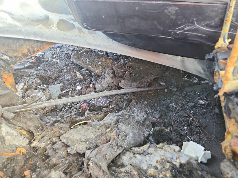 51150866 :رقم المزاد ، 2C3CDZAG3KH531794 vin ، 2019 Dodge Challenger مزاد بيع