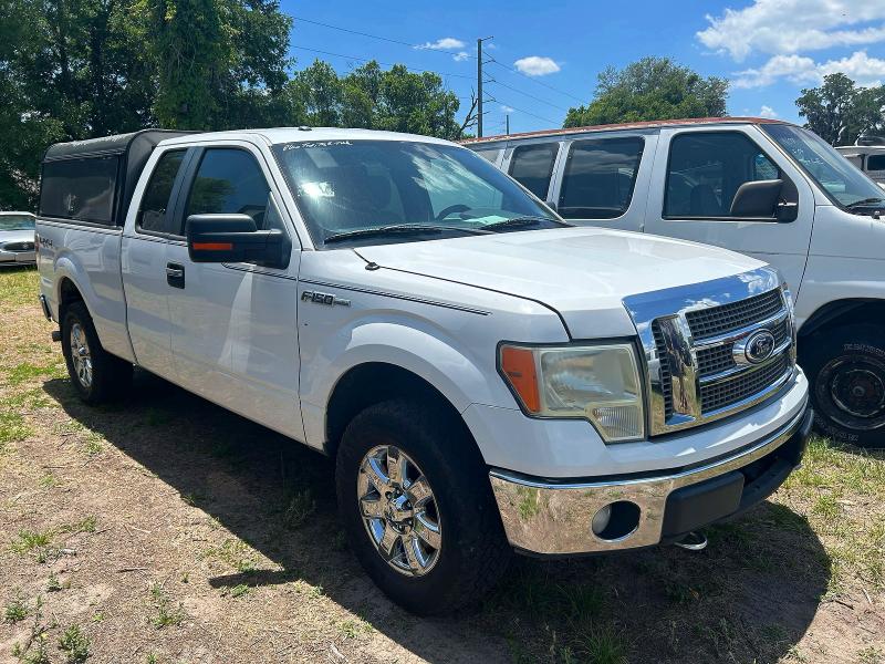 Auction sale of the 2013 Ford F150, vin: 1FTFX1EF3DKD37474, lot number: 52233906